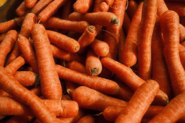 Cultivez des carottes à la maison