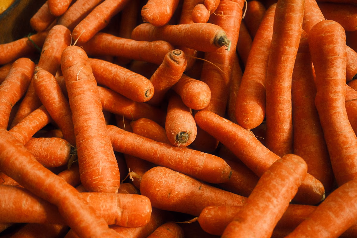 Cultivez des carottes à la maison