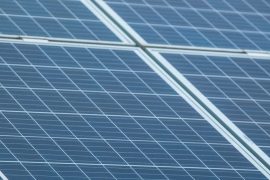Les obligations vertes en 2026 : une nouvelle ère d'investissement durable