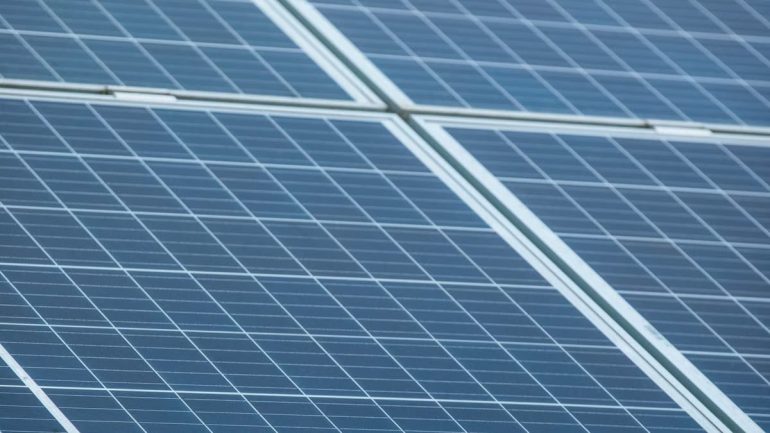 Les obligations vertes en 2026 : une nouvelle ère d'investissement durable